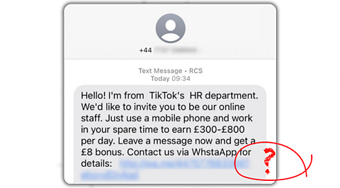 A scam text message impersonating a TikTok HR professional. The text message says "Hello! I'm from TikTok's HR department. We'd like to invite you to be our online staff. Just use a mobile phone and work in your spare time to earn £300-£800 per day. Leave a message now and get a £8 bonus. Contact us via WhstaAopp for details. There is then a fake URL link.