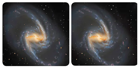 J-P Metsaivanio Barred spiral galaxies have arms that form at either end of a central mass, like the Great Barred Spiral Galaxy NGC 1365, pictured here (Credit: J-P Metsaivanio)