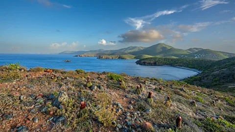 Getty Images St John is the smallest of the three US Virgin Islands and is home to Virgin Islands National Park (Credit: Getty Images)