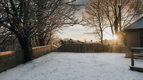 A garden covered in snow