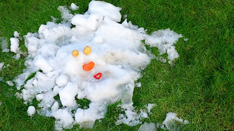 A melted snowman on a green, grassy field