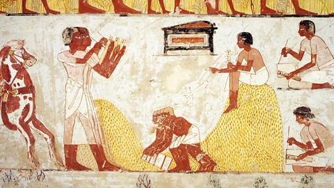 A photo of a relief of Ancient Egyptians farming from the necropolis of Shaykh Abd El-Qurna.