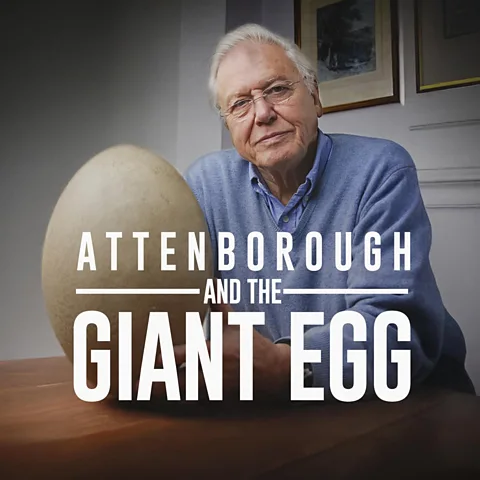 Attenborough and the Giant Egg
