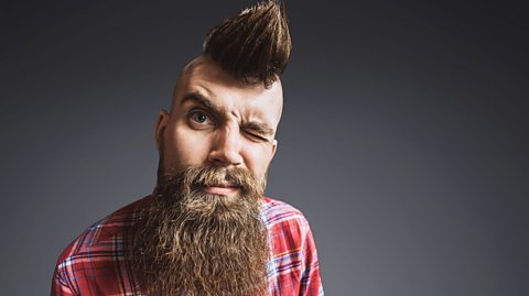 A man, squinting, with a mohawk hairstyle and long scraggly beard. He is wearing a red checked shirt
