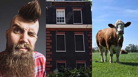 Five of the weirdest taxes in the world