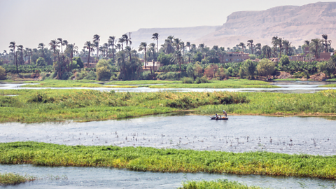 A photo of a farm in the River Nile.