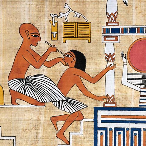 A reconstruction on papyrus of an ophthalmologist from the wall of the tomb of Ipi.