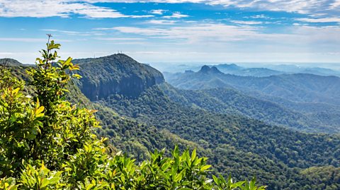 Panoramic view of lush green rainforest-covered mountains under a bright blue sky with scattered clouds in Springbrook National Park, Australia which is the setting of I'm a Celebrity... Get Me Out of Here! reality TV series.