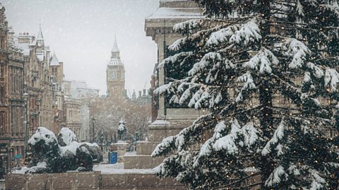 Snow in Trafalgar Square, London, with Big Ben - a historic clock tower, in the background. At the forefront of the photo is a Christmas tree dusted in snow, as well as two lion statues, both in a lying down pose, covered in snow.