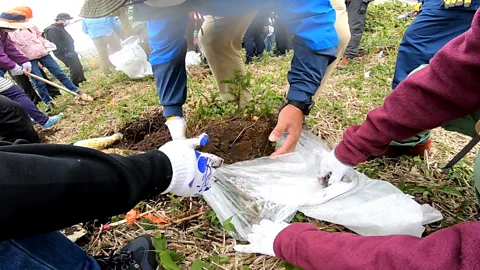 Harada Takato Efforts are being made to transplant of Aomori-todomatsu saplings to Mount Zao in an attempt to revive the forests (Credit: Harada Takato)