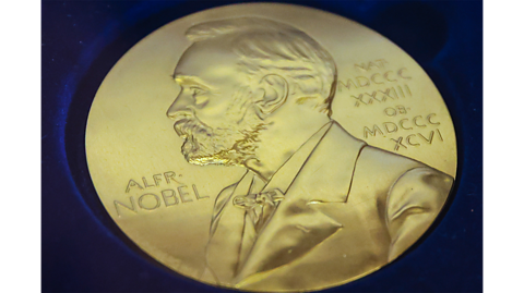 A Nobel prize medal. A gold medal with the visage of Alfred Nobel on it.