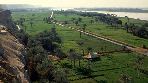 A photo of a farm next to the River Nile.