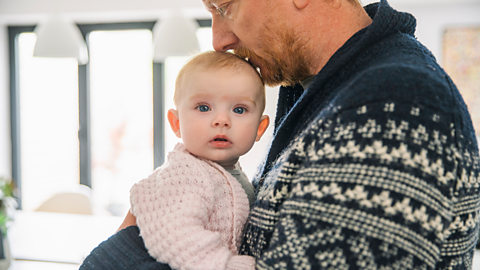 Christmas as a split family – co-parenting advice