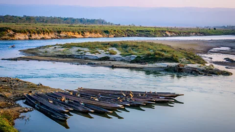 Getty Images Chitwan National Park is a Unesco World Heritage Site (Credit: Getty Images)