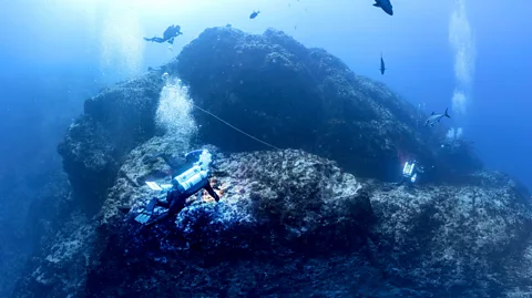 Oceano Azul Foundation The habitats of the Gorringe Seamount span almost 5km (3 miles) of depth and include kelp forests, cold-water coral and deep-sea sponge beds (Credit: Oceano Azul Foundation)