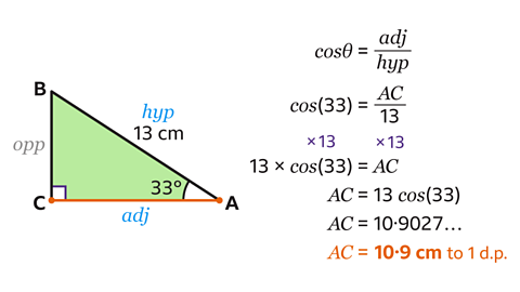 Right-angled triangle (ABC) with hypotenuse (AB) of 13 cm and angle of 33 degrees. Length AC is next to the angle and is labelled the adjacent. Cos33 equals AC over 13. Multiply both sides by 13 to get 13 cos33 equals AC. Therefore AC equals 10.9 centimetres to one decimal place