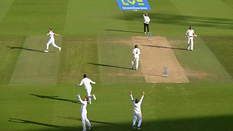 Stuart Broad is on the left of the wicket, wheeling away in delight after getting his opponent out in his final ever delivery. Wicket-keeper Jonny Bairstow, who took the catch, throws the ball in the air in joy as teammates celebrate, the Australian batsman trudge off, and the umpire raises a finger to give him out 