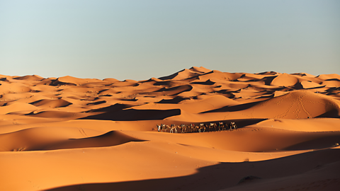 A photo of a camel caravan traveling through the desert.