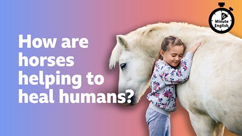 How are horses helping to heal humans?