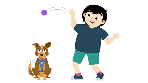 A boy is throwing a ball for his dog.