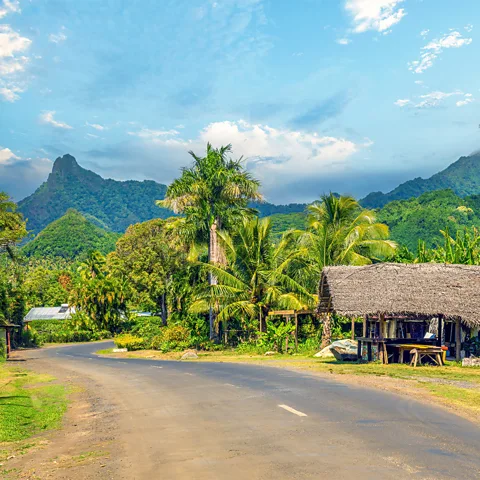 Getty Images Rarotonga's Cross-Island Track is a rugged trail that includes Te Rua Manga peak, or "The Needle" (Credit: Getty Images)