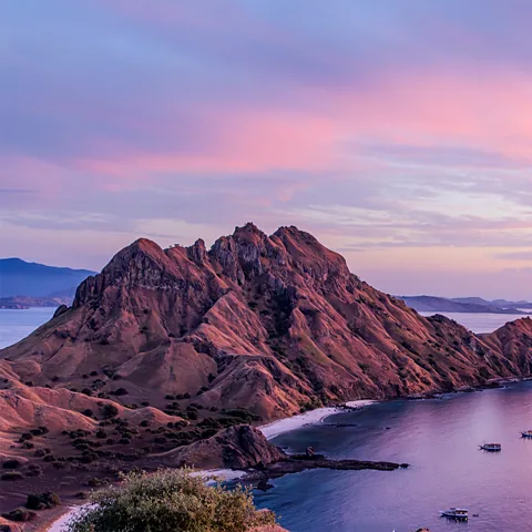 Getty Images The Komodo Islands are home to the Komodo dragon, the largest lizard on Earth (Credit: Getty Images)