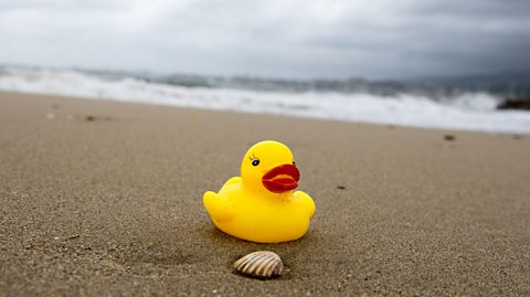 Yellow rubber duck on a beach.