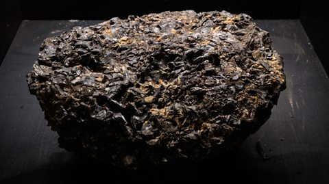 A lump of ambergris.