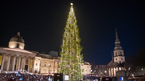 The Trafalgar Square Christmas tree lit up at night