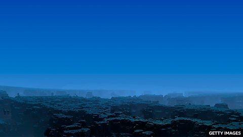 Deep sea mining could pose wildlife risk 深海采矿可能威胁野生动物生存