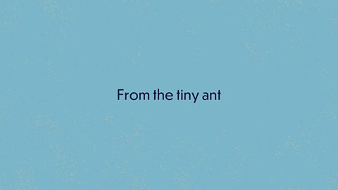 From the tiny ant