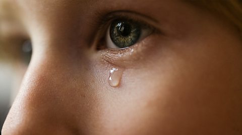 A close-up image of a tear falling from an eye