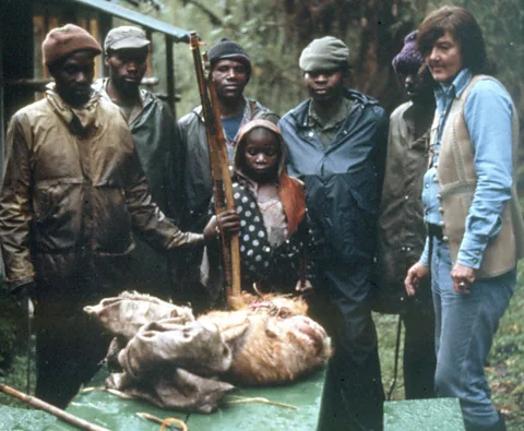 Ian Redmond Dian Fossey glares at the remains of a butchered animal with a teenage poacher caught with it (Credit: Ian Redmond)