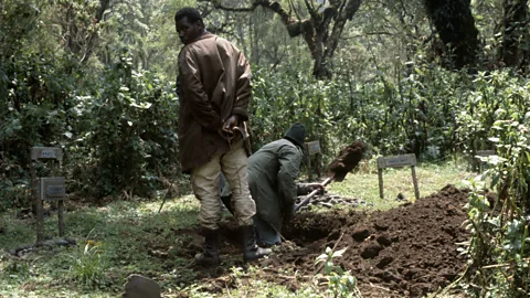 Ian Redmond Many of the gorillas killed by poachers were buried on the grounds of Fossey's camp (Credit: Ian Redmond)