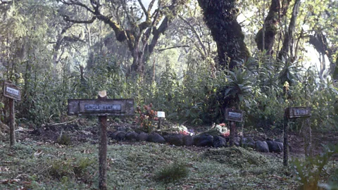 Ian Redmond Fossey was buried in the same cemetery where she had put the remains of so many of the gorillas she had been fighting for including Digit (Credit: Ian Redmond)