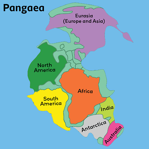 Image of Pangaea. This is labelled with Eurasia, North America, South America, Africa, Antarctica, Australia and India.