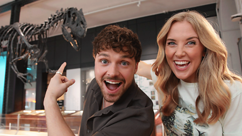 Walking with Dinosaurs - Live Lessons