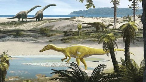 Dinosaurs from Newsround