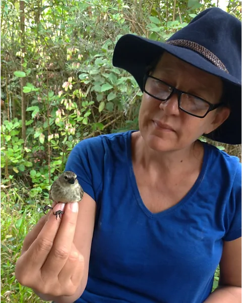 Jefferson Garcia-Loor Researcher Sonia Kleindorfer holding a small tree finch (Credit: Jefferson Garcia-Loor)