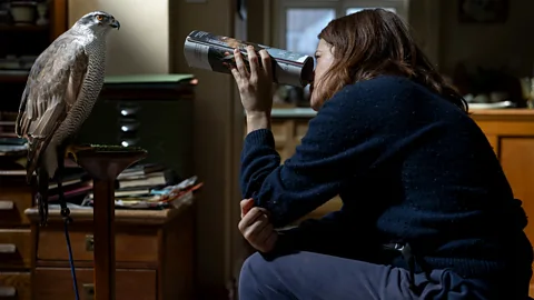 Roadside Attractions Helen Macdonald's nature memoir H is for Hawk was turned into a feature film, which will be released early in 2026 (Credit: Roadside Attractions)