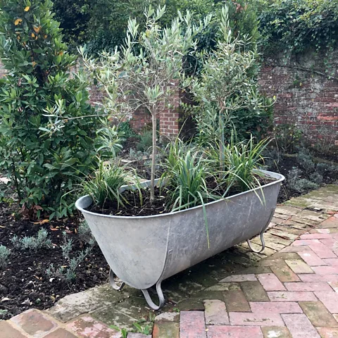 Mayfly Vintage (Credit: Mayfly Vintage)