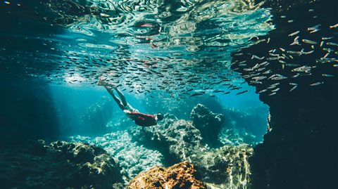 A woman wearing a red, long sleeved scuba suit, scuba mask and dive fins swims under water, surrounded by coral and a school of small fish swimming above her