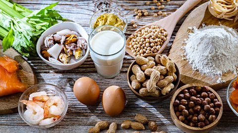 A wooden table full of food including a glass of milk, eggs, bowls of prawns, bowls of nuts