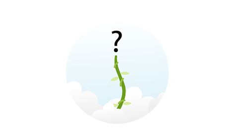 A tall beanstalk reaching in to the sky with a question mark at the top.