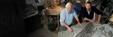 Attenborough and the Sea Dragon