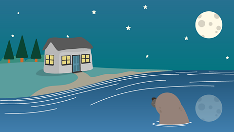 A selkie in the sea at night-time looking towards a house with lights on.
