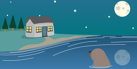A selkie in the sea at night-time looking towards a house with lights on.