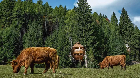 Massimo Crivellari (Credit: Massimo Crivellari)