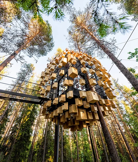 Matts Engfors (Credit: Matts Engfors)