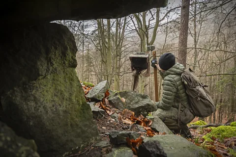 Vladimír Čech Jr Jiri Sochor sets up a camera trap in the Doupov Mountains (Credit: Vladimír Čech Jr)